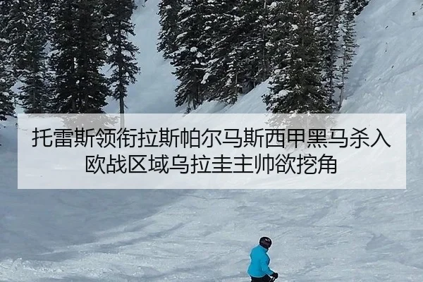 tuo-lei-si-ling-xian-la-si-pa-er-ma-si-xi-jia-hei-ma-sha-ru-ou-zhan-qu-yu-wu-la-gui-zhu-shuai-yu-wa-jiao-2-313.jpg