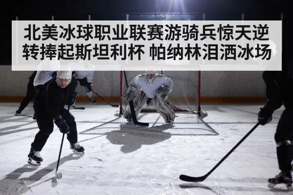 北美冰球职业联赛游骑兵惊天逆转捧起斯坦利杯 帕纳林泪洒冰场