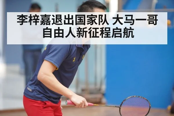李梓嘉退出国家队 大马一哥自由人新征程启航