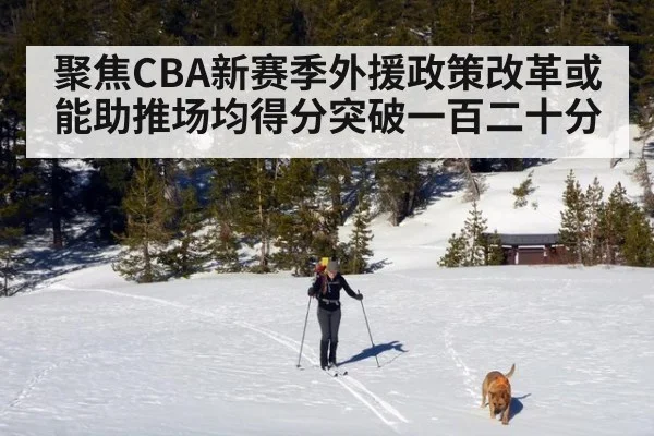 聚焦CBA新赛季外援政策改革或能助推场均得分突破一百二十分