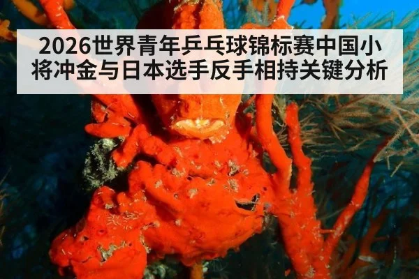 2026世界青年乒乓球锦标赛中国小将冲金与日本选手反手相持关键分析