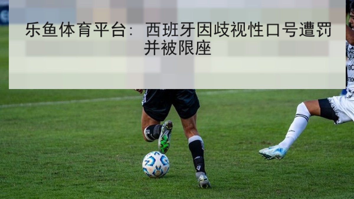 乐鱼体育平台: 西班牙因歧视性口号遭罚并被限座