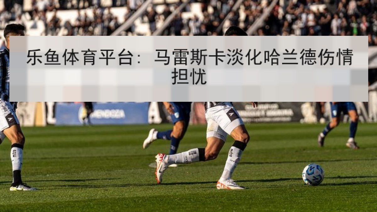 乐鱼体育平台: 马雷斯卡淡化哈兰德伤情担忧